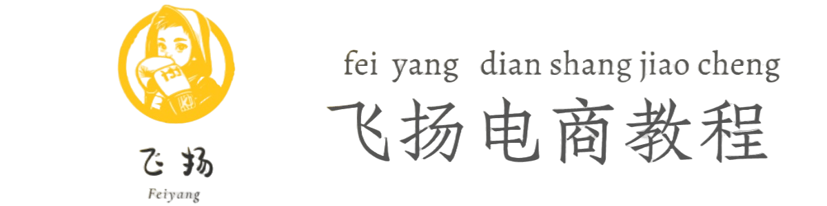飞扬电商教程